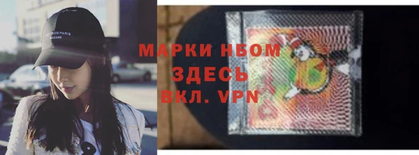 ПСИЛОЦИБИНОВЫЕ ГРИБЫ Арсеньев