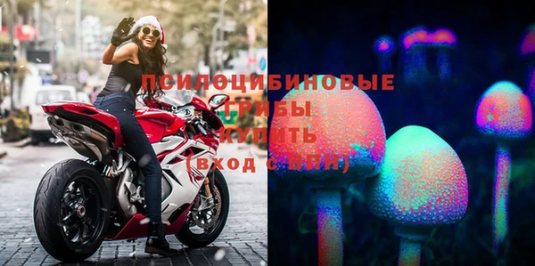 бутират Алексеевка